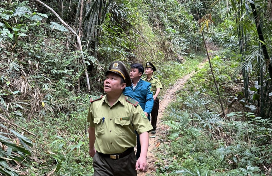 Bảo vệ rừng bền vững ở vùng biên giới huyện Quan Sơn, tỉnh Thanh Hoá