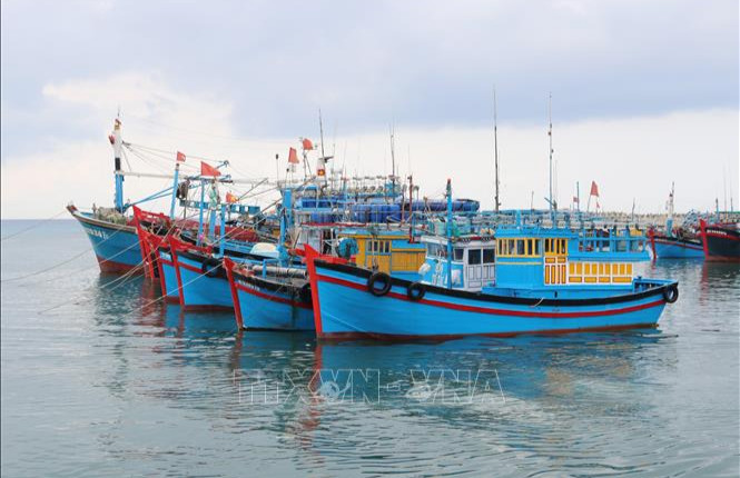 Kiên quyết không để tàu cá Việt Nam khai thác hải sản bất hợp pháp ở vùng biển nước ngoài