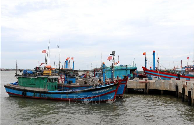 Giám sát, truy xuất nguồn gốc thủy sản tại cảng cá