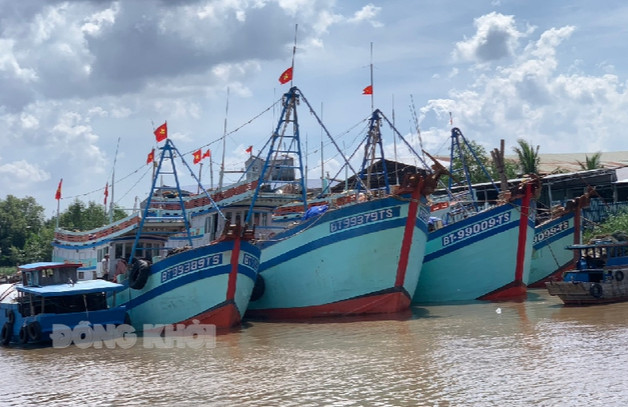 Bến Tre: Ưu tiên phát triển các ngành kinh tế biển thân thiện môi trường