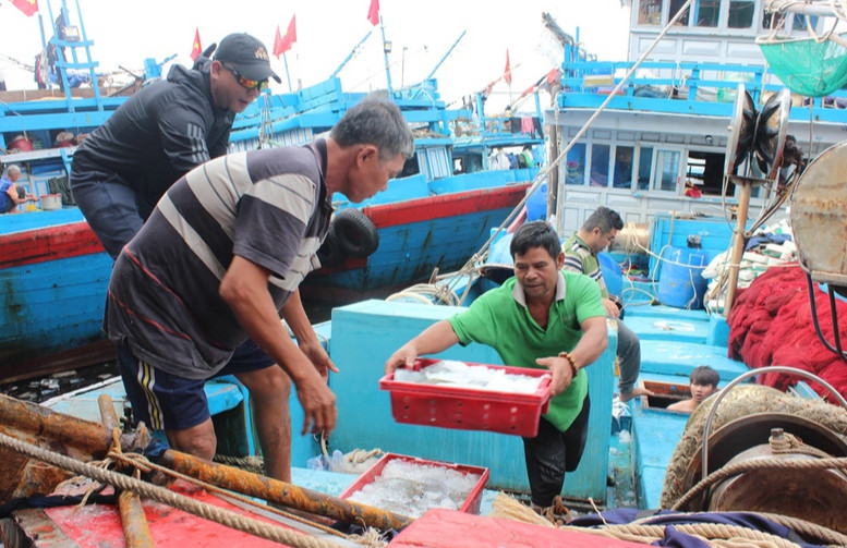 Đà Nẵng hoàn thành xử lý hơn 1.900 tàu cá '3 không'