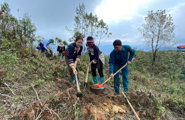 “Lũy tre biên thùy” bảo vệ biên cương